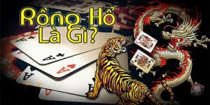 rồng hổ là gì